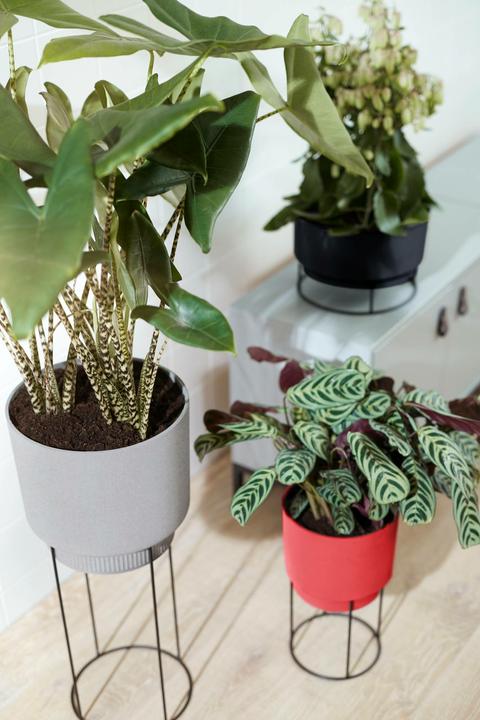 Produktbild Elho b.for studio (22 cm)