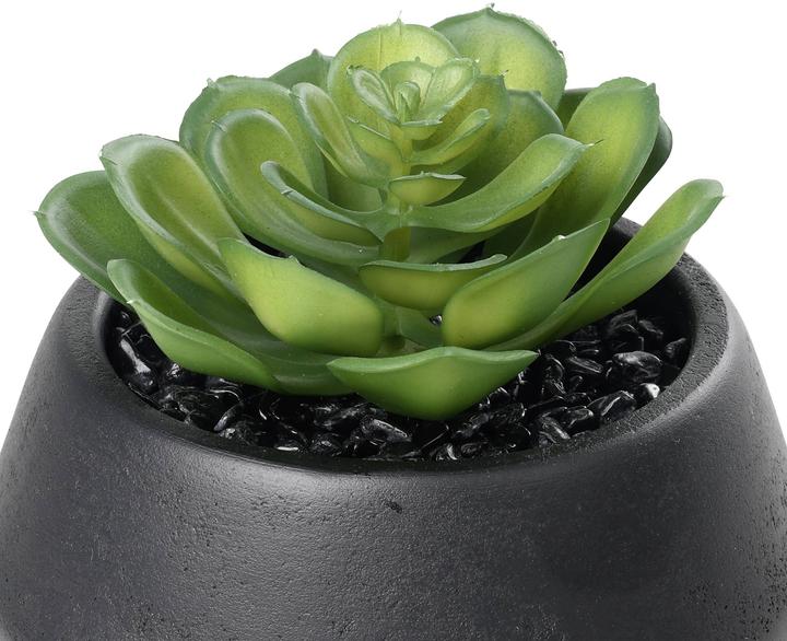 Immagine prodotto EGLO Kunstpflanze 11cm (11 cm)