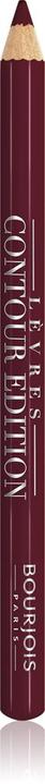 Actual product image Bourjois Contour Edition (09 Plum It Up)