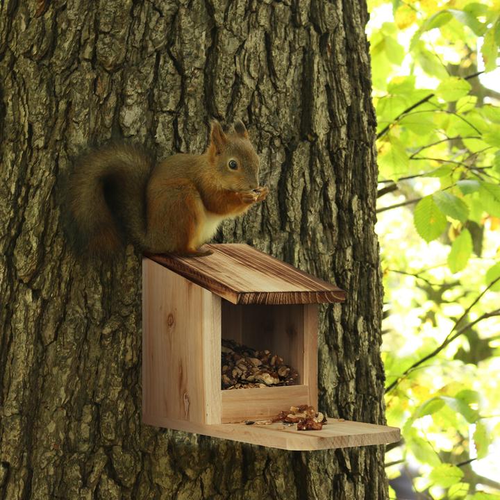 Produktbild Relaxdays Eichhörnchenfutterhaus