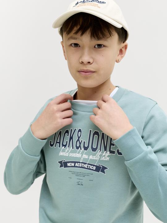 Produktbild Jack & Jones Jjelogo Sweat Crew Neck 2 Col Ss26 Jnr (128)