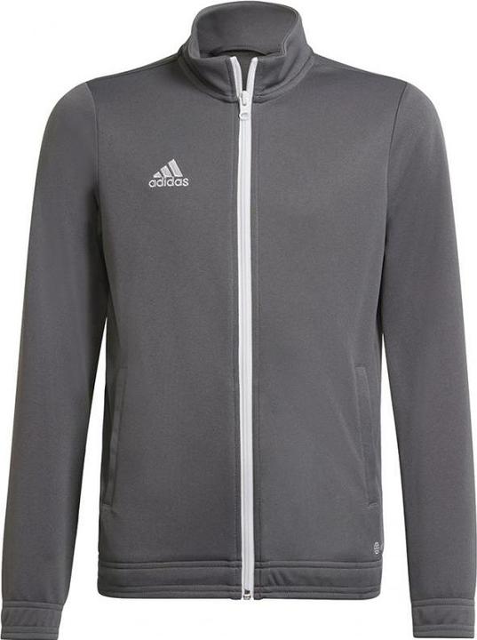 Actual product image Adidas Entrada 22 training jacket kids (176)