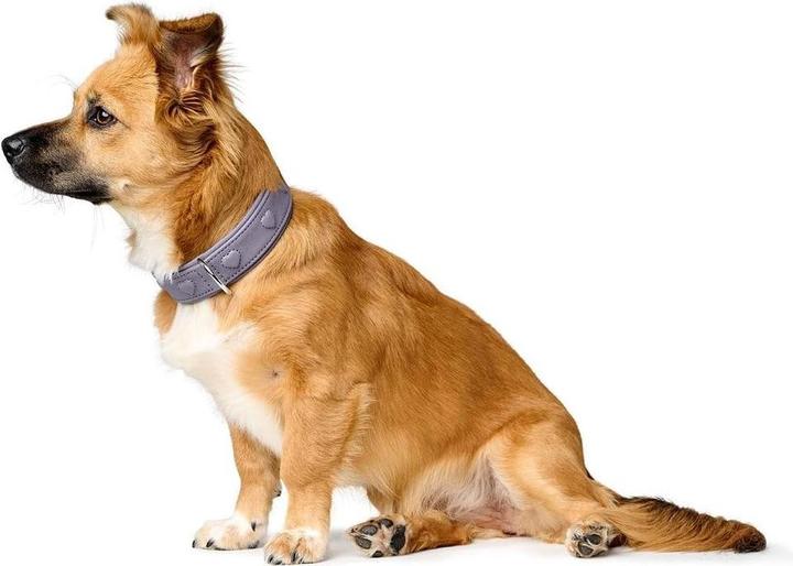 Actual product image Hunter - H.HB Soho X Love - 32/XS - Purple (32, XS, Dog, General)