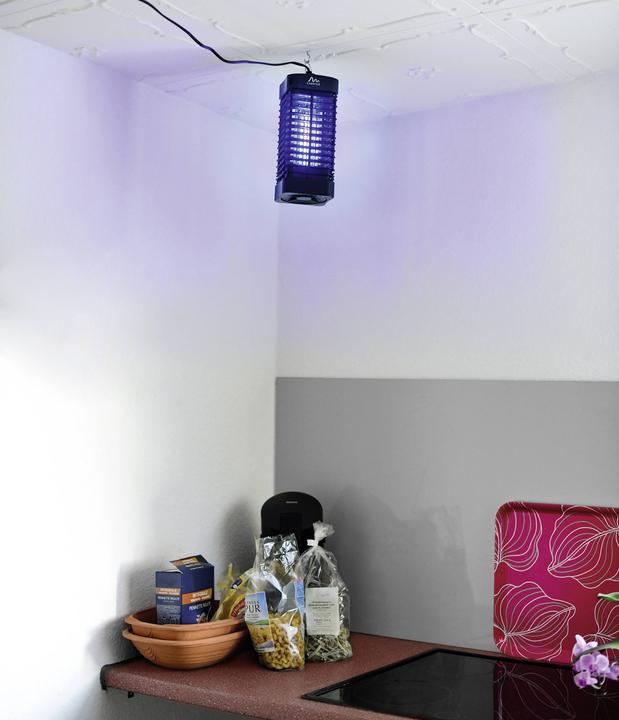 Actual product image Gardigo Flying Insect Killer