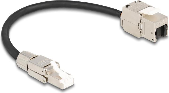 Immagine prodotto Delock Cavo RJ45 collegabile in campo a (S/FTP, CAT6a, 0.25 m)