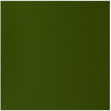 Winsor & Newton Verde Colore + Vernice Per Fai Da Te, Designers Gouache 14Ml Olive Green 447 (14 Ml)