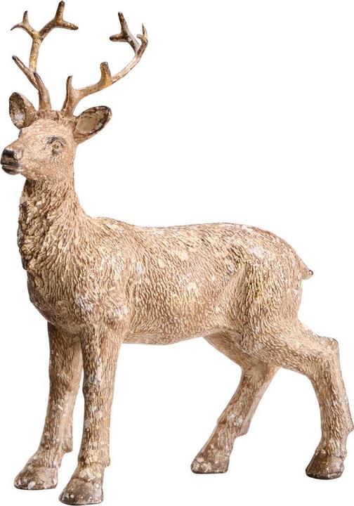 Image du produit pfister Alpine Nature