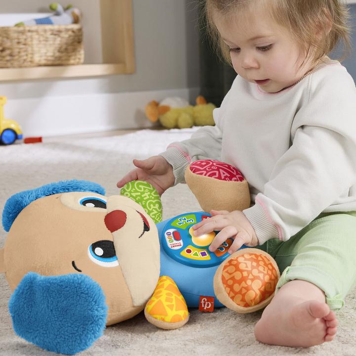 Produktbild Fisher-Price JFD21 (28.50 cm)