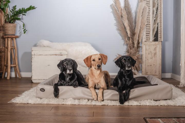 Produktbild Sabro Kudde (Hund)