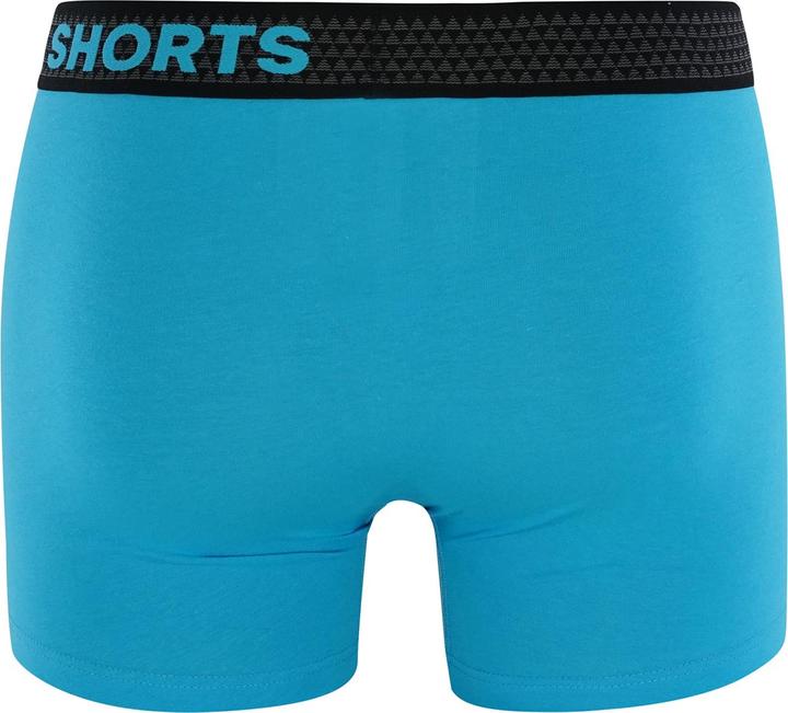 Actual product image Phil & Co. Berlin Retro Pants All Styles (L, pack of 4)