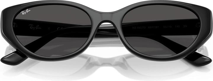 Produktbild Ray Ban RB4457D