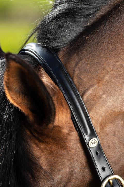 Produktbild HFI Master Raised