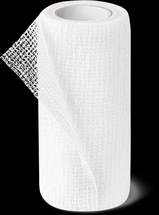 Produktbild DermaPlast CoFix Selbsthaftende Binde