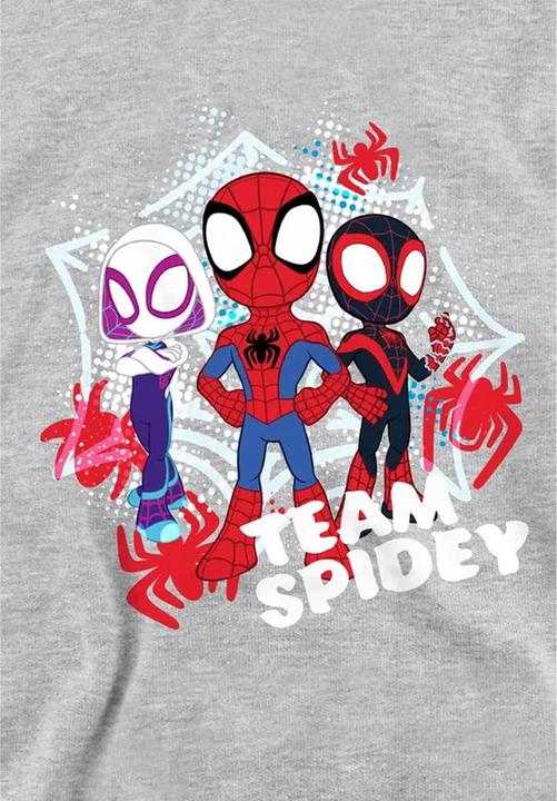 Produktbild Kapuzenpullover Zum Überziehen (128)