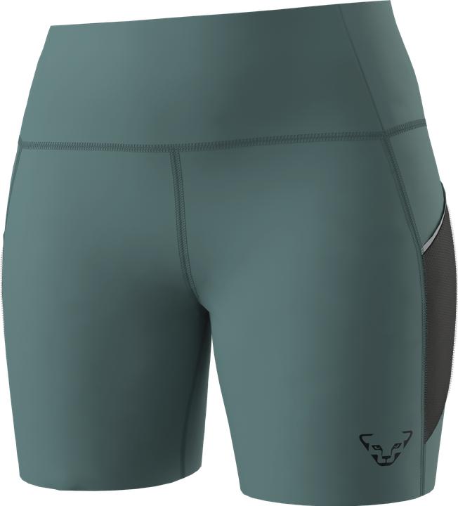 Actual product image Dynafit Sky Short Tights (XL)