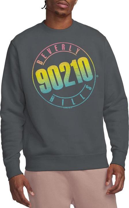 Actual product image 90210 Unisex Adult Colour Blend Logo Sweatshirt (L)