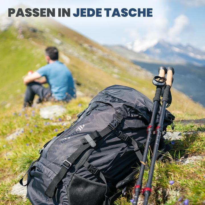 Immagine prodotto Steinwood Premium Carbon Wanderstöcke