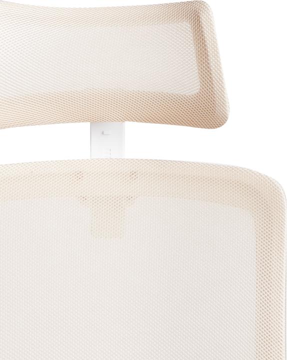 Produktbild Beliani Monarch (35 - 45 cm)