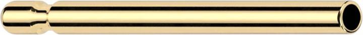Actual product image Star Piercing Threadless ear stud gold plated (without brass, Titanium)