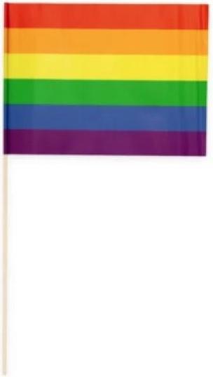Image du produit Fiesta Papierflaggen Pride 10 Stück (30 x 20 cm)