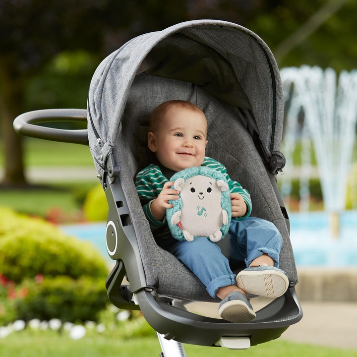 Image du produit Fisher-Price Mon Hérisson Dodo
