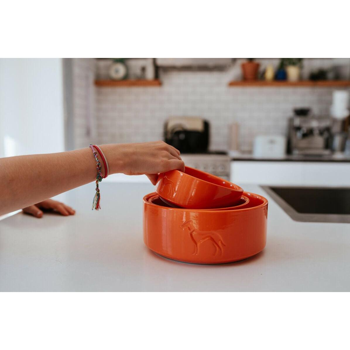 Mangeoire pour chiens Hunter OSBY Orange