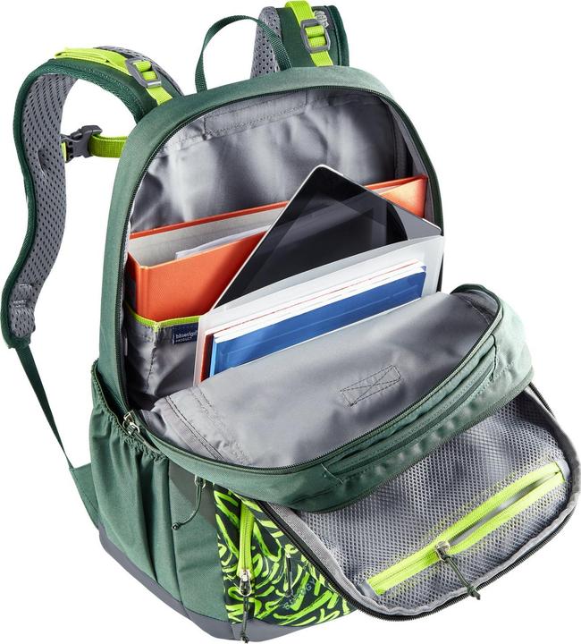 Actual product image Deuter School Backpack Cotogy (25 l)