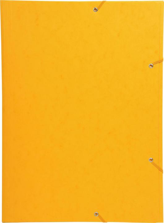 Actual product image Exacompta Folder (A3, 1 x)