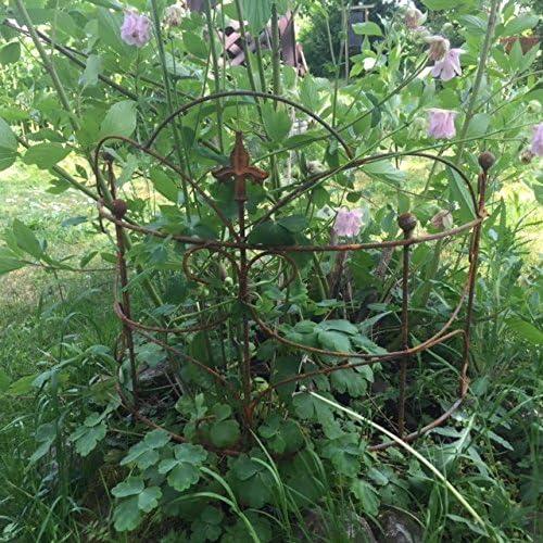 Immagine prodotto Ecosoul Supporto perenne (52 cm)