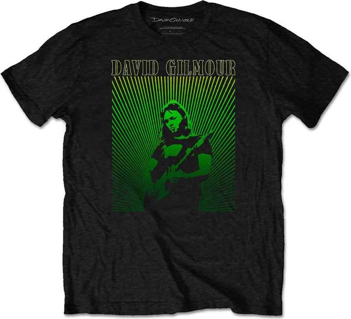 David Gilmour Rays Gradient