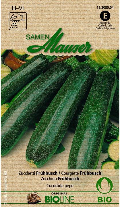 Bud Organic Courgette Early bush (Vegetable seeds)