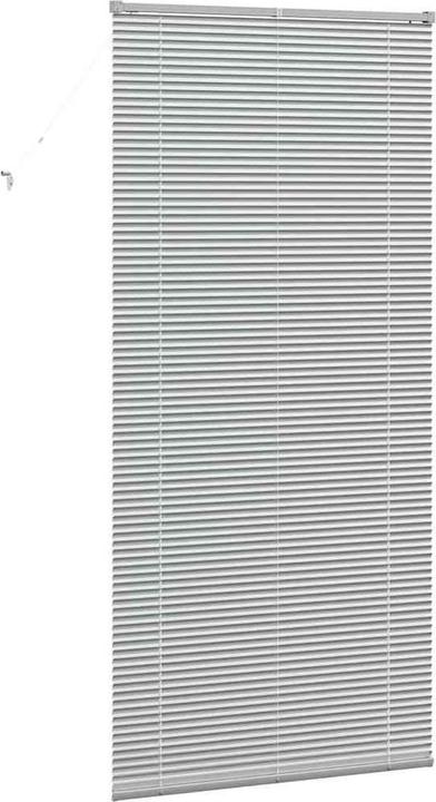 Immagine prodotto VidaXL Tende per finestre (100 x 220 cm)