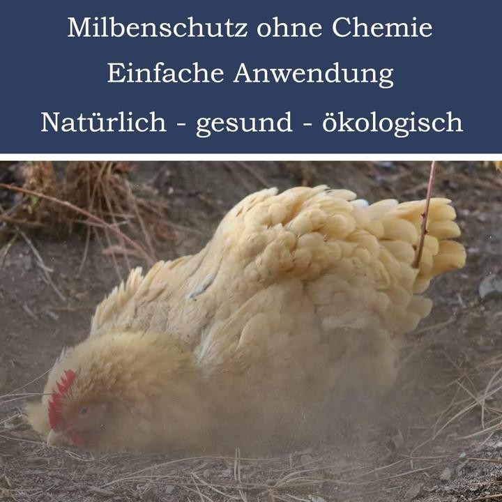 Produktbild Petigi Geflügeleinstreu aus Urgesteinsmehl (25 kg) (25 kg, Vogelsand)