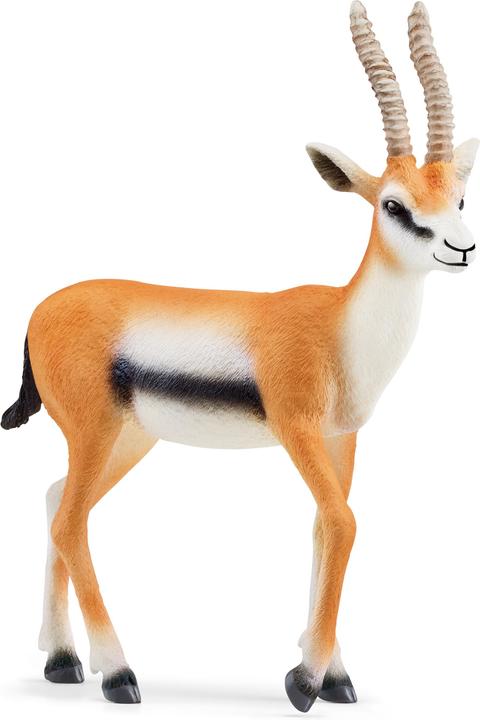 Produktbild Schleich Thomson Gazelle
