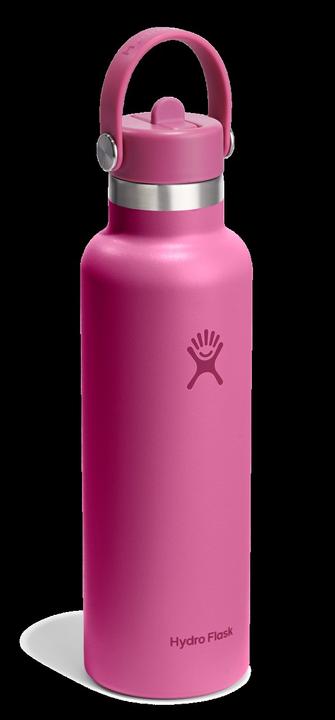 Actual product image Hydro Flask Flasche Standard Mouth Flex Straw Cap Reef (0.62 l)