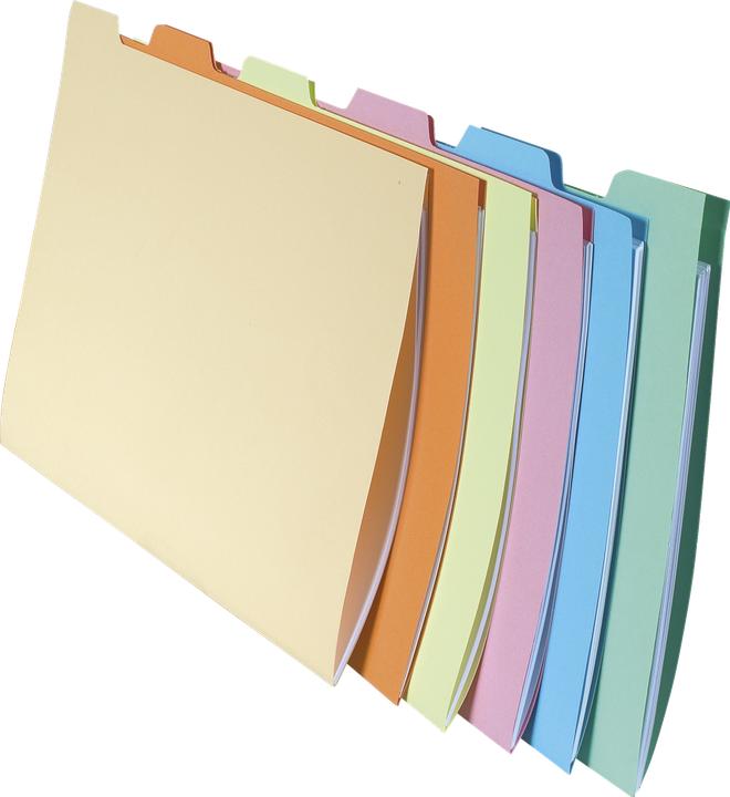 Produktbild Exacompta Verzeichnis mit Unterteilungen für Sammelmappe A4 (A4, 10x)