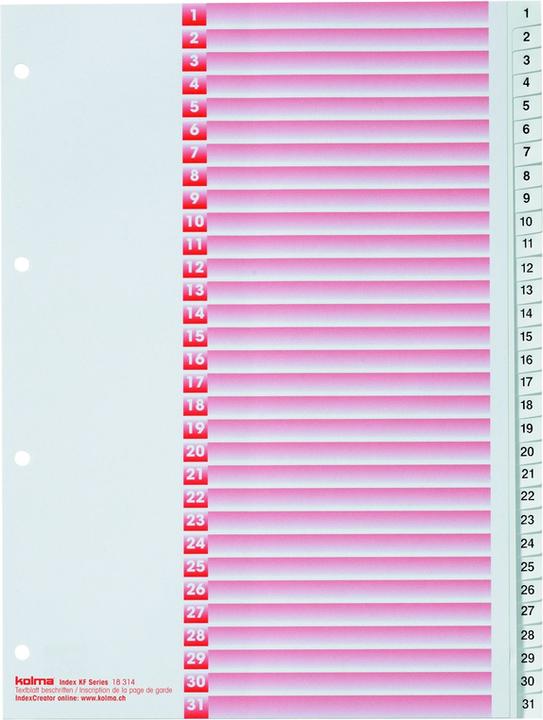 Actual product image Kolma Index A4 strong 1-31 31-piece white
