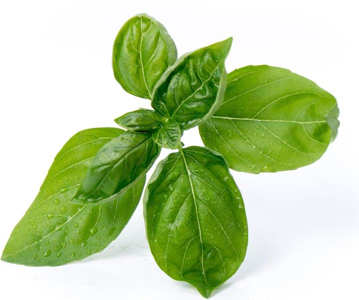 Immagine prodotto Véritable Bio-Basilikum (Semi di erbe)