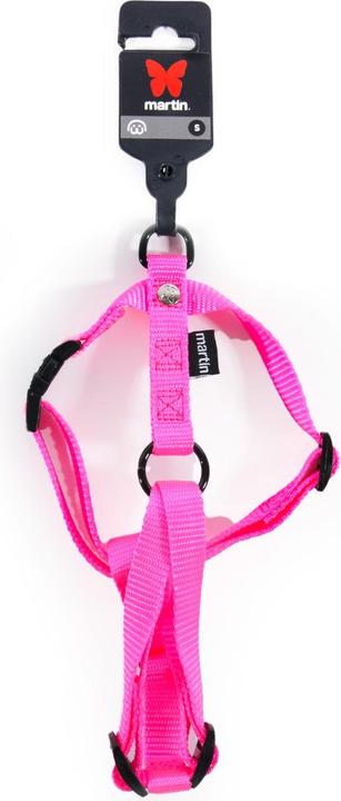Actual product image Martin Sellier S (50, Dog, Walks)
