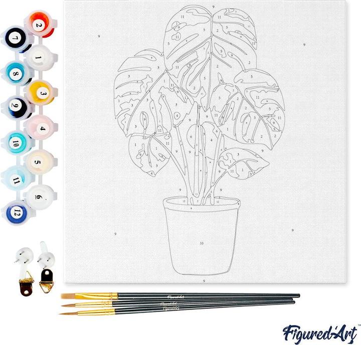 Image du produit Figured'Art Mini Peinture par Numéros avec Cadre - Plante verte