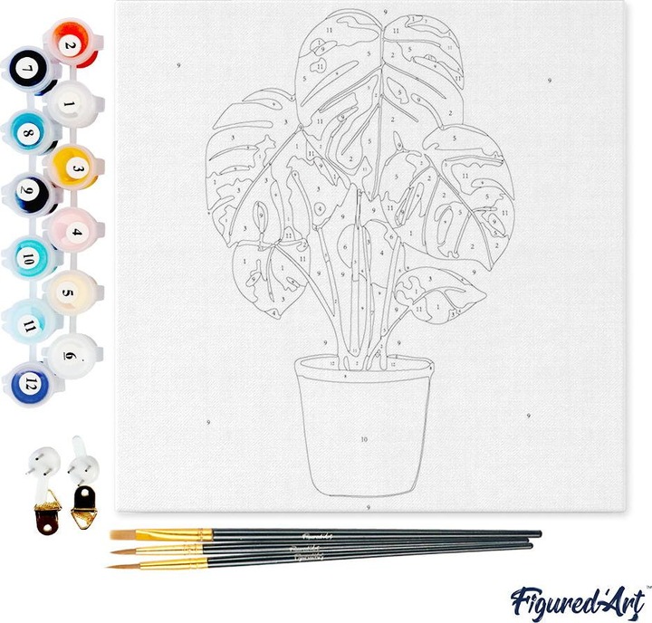 Actual product image Figured'Art Mini Paint by Numbers framed - Beautiful Monstera Pot