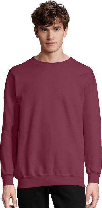 Actual product image Hanes Heavyweight Fleece Crewneck Pullover (L)