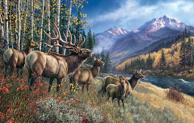 Produktbild Sunsout Puzzle 1000 pieces James Meger - Elk Anthem (1000 Teile)