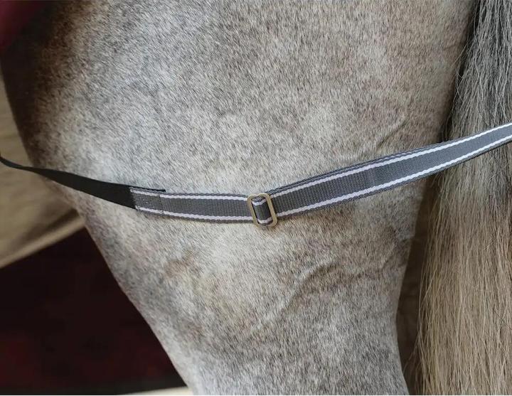 Immagine prodotto Weatherbeeta Comfitec Plus Dynamic II Combo 220 g (170 cm)