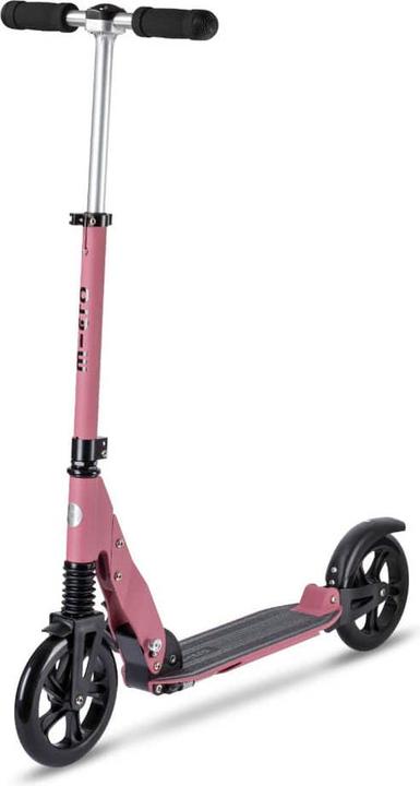 Black, Bordeaux, Pink