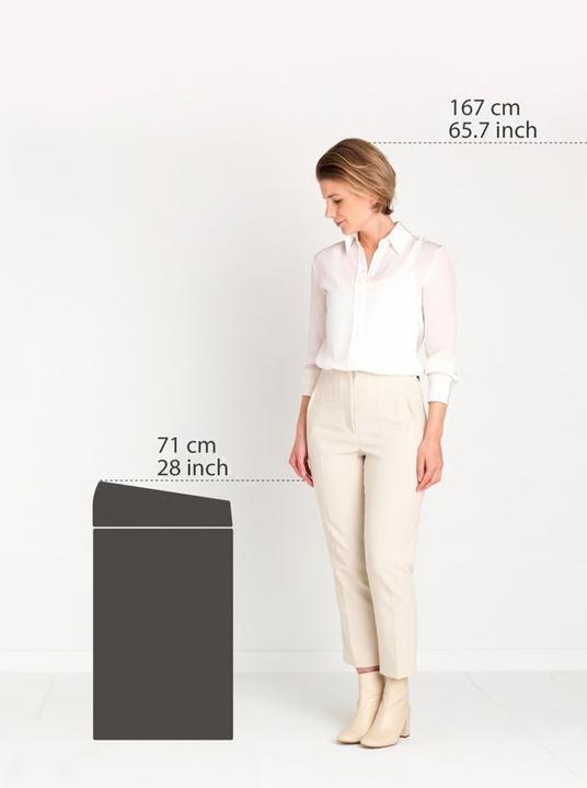 Actual product image Brabantia Waste bin TouchBin 60L (60 l)