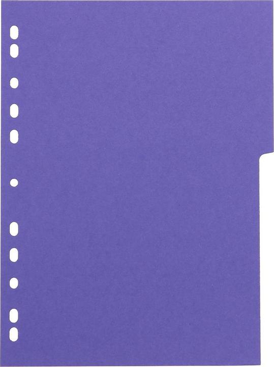 Immagine prodotto Oxford Registri di cartone, vuoti, DIN A4, colorati, 12 pezzi