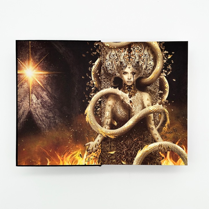Actual product image Crescent City – Wenn die Schatten sich erheben (German, Sarah J. Meuse, 2024)
