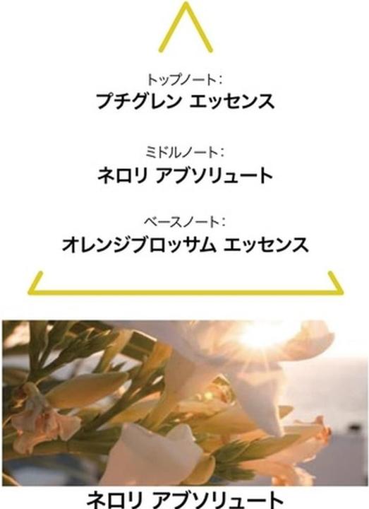 Actual product image Le Couvent Cologne Botanique Absolue Aqua Palmaris (Eau de cologne, 100 ml)