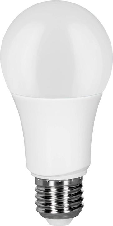 Müller Licht E27 LED W Glühlampenform (E27, 9.50 W, 806 lm, 1 x, F)